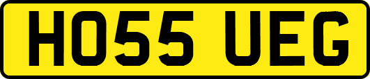 HO55UEG