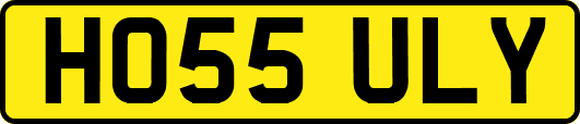 HO55ULY
