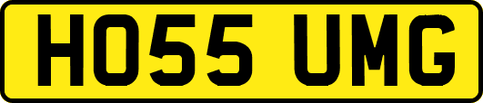 HO55UMG
