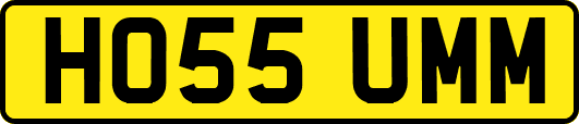 HO55UMM
