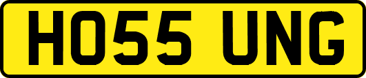 HO55UNG