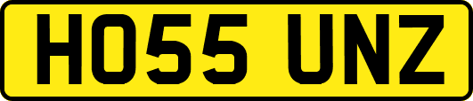 HO55UNZ