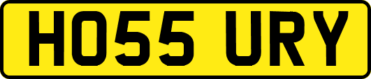 HO55URY