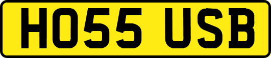 HO55USB