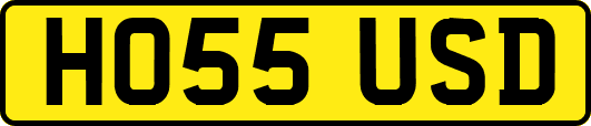 HO55USD