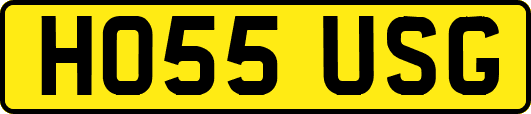 HO55USG