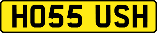 HO55USH