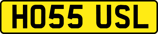 HO55USL