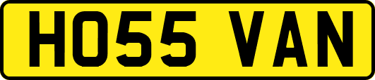 HO55VAN