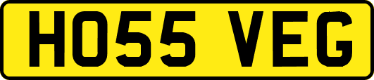 HO55VEG