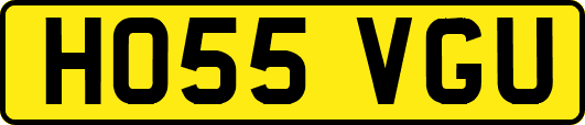 HO55VGU