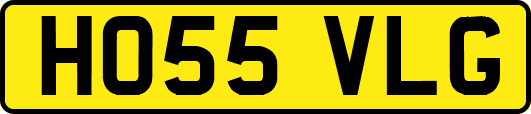 HO55VLG
