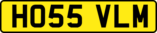 HO55VLM