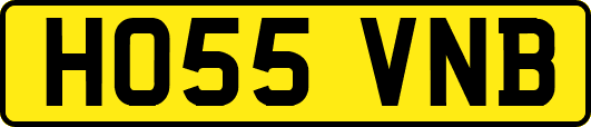 HO55VNB