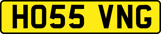 HO55VNG