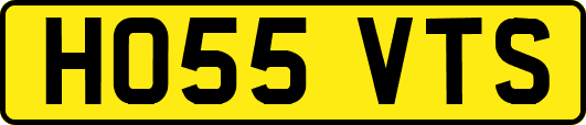 HO55VTS
