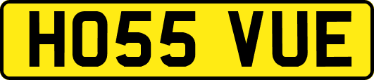 HO55VUE