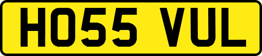 HO55VUL