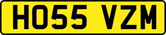 HO55VZM