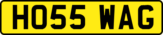 HO55WAG