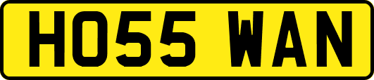 HO55WAN