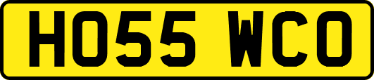 HO55WCO