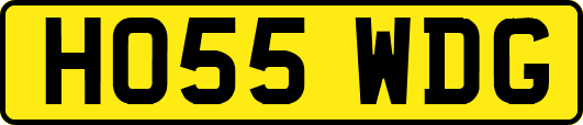 HO55WDG