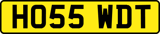 HO55WDT