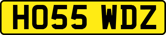 HO55WDZ