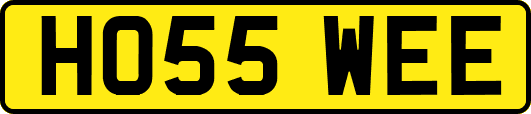 HO55WEE