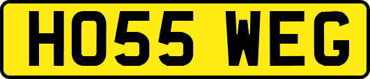 HO55WEG