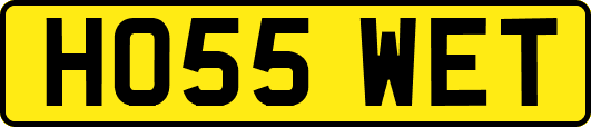 HO55WET