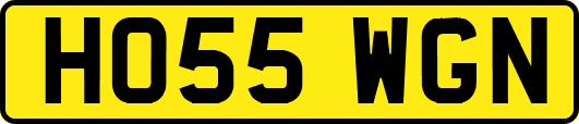 HO55WGN