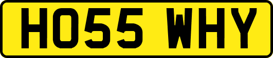 HO55WHY