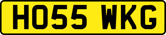 HO55WKG