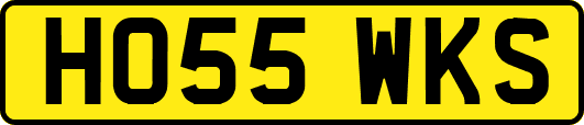 HO55WKS