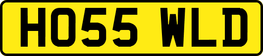 HO55WLD