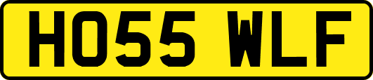 HO55WLF