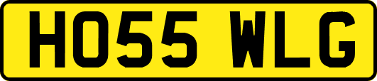 HO55WLG