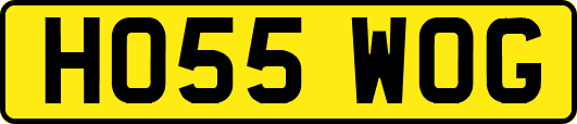 HO55WOG