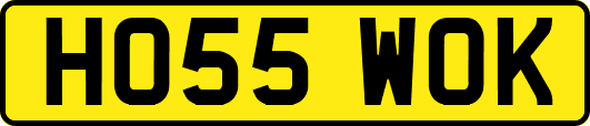 HO55WOK