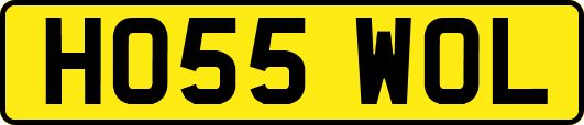 HO55WOL