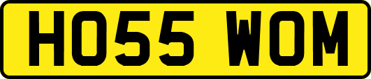 HO55WOM