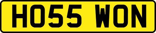 HO55WON