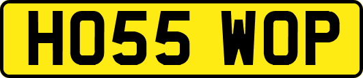 HO55WOP