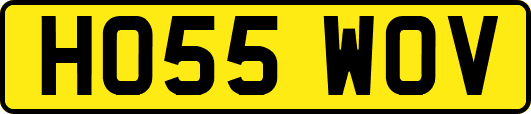 HO55WOV