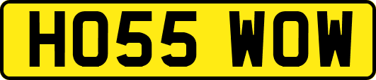 HO55WOW