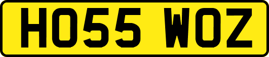 HO55WOZ