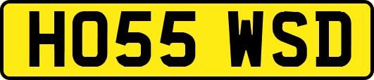 HO55WSD