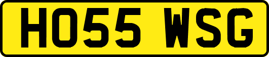 HO55WSG